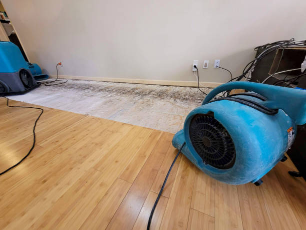 Professional Water Damage Repair technician working in Cullman, AL